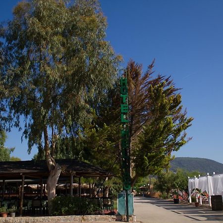 Hotel Hellas Epidaurus Exterior photo